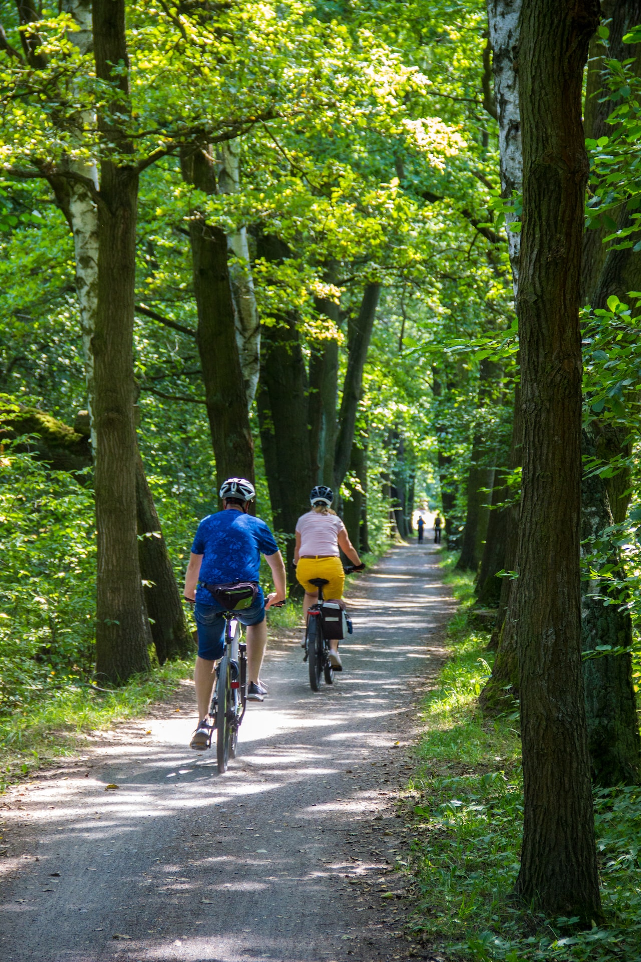 people riding bicycle on road between green trees during daytime